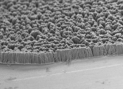 Polymer Nanofiber Array