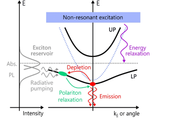 ultrafast interactions